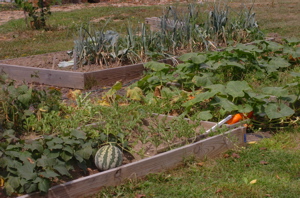 DSC_0277.JPG